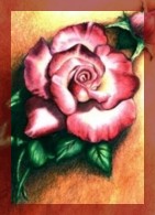 Helen's Rose